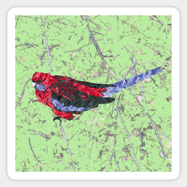 Marbled Bird Collage - Crimson Rosella Sticker by MarbleCloud